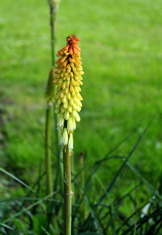 ... ����� ����� ���������(�������) �� PhotoGeek.ru #����� ��������������