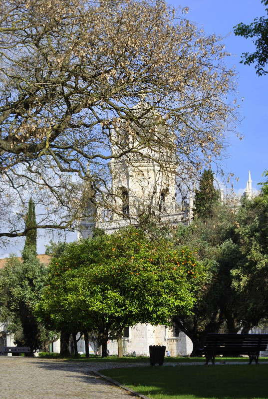 ... ����� ����� ���������(�������) �� PhotoGeek.ru #�����