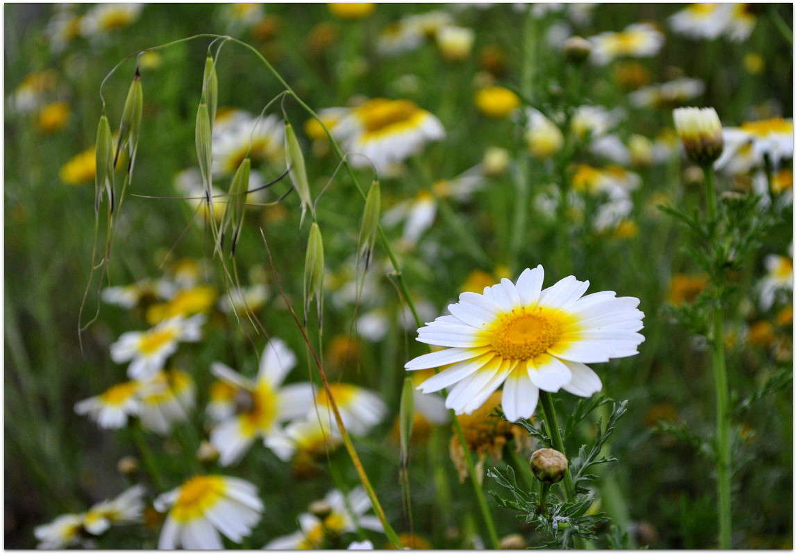 )) ����� ����� ���������(�������) �� PhotoGeek.ru #����� ��������������