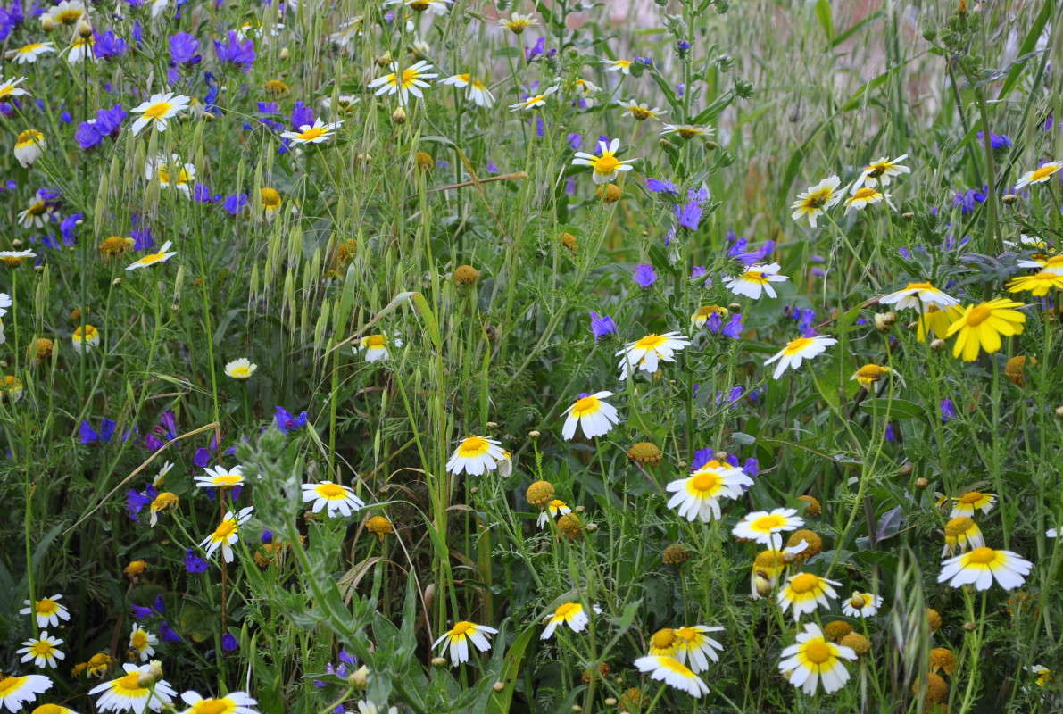 �����... ����� ����� ���������(�������) �� PhotoGeek.ru #����� ��������������