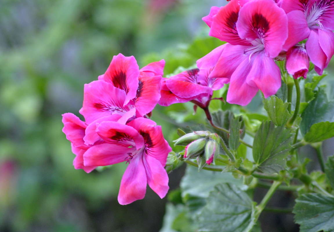 ... ����� ����� ���������(�������) �� PhotoGeek.ru #����� ��������������