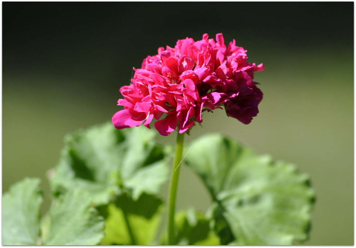 ... ����� ����� ���������(�������) �� PhotoGeek.ru #����� ��������������