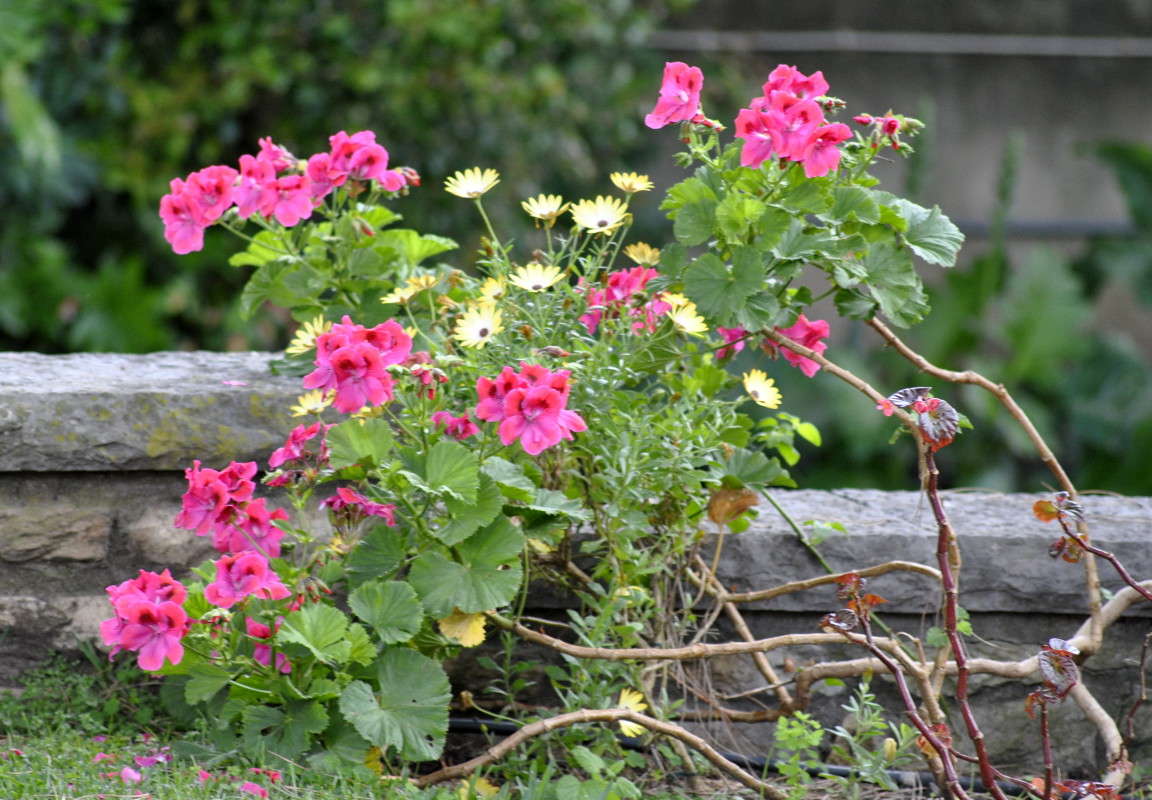 ... ����� ����� ���������(�������) �� PhotoGeek.ru #����� ��������������