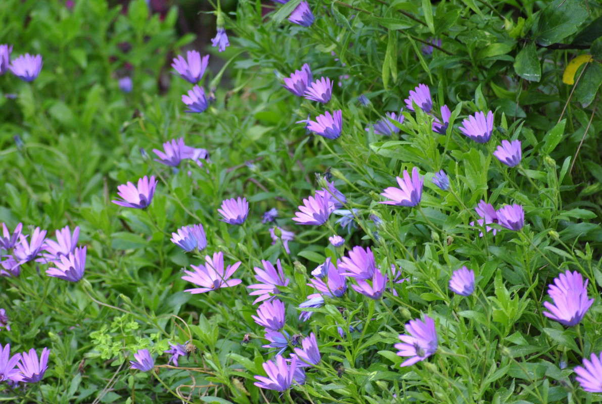 ... ����� ����� ���������(�������) �� PhotoGeek.ru #����� ��������������