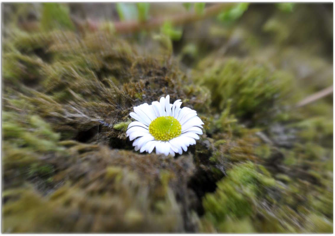 ... ����� ����� ���������(�������) �� PhotoGeek.ru #����� ��������������