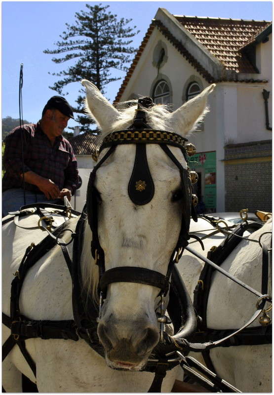 ... ����� ����� ���������(�������) �� PhotoGeek.ru #������