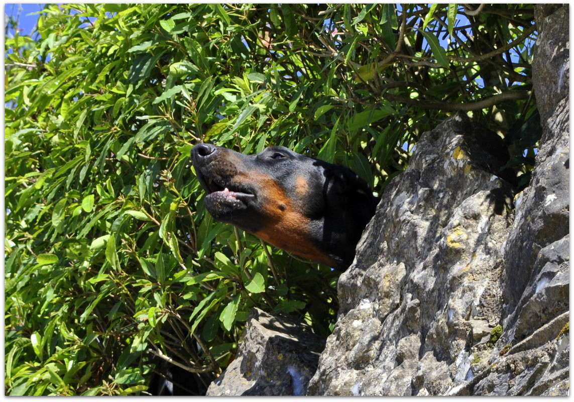 )) ����� ����� ���������(�������) �� PhotoGeek.ru #�������� ���