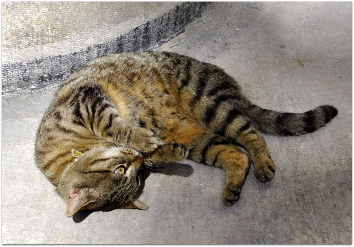 ... ����� ����� ���������(�������) �� PhotoGeek.ru #�������� ���