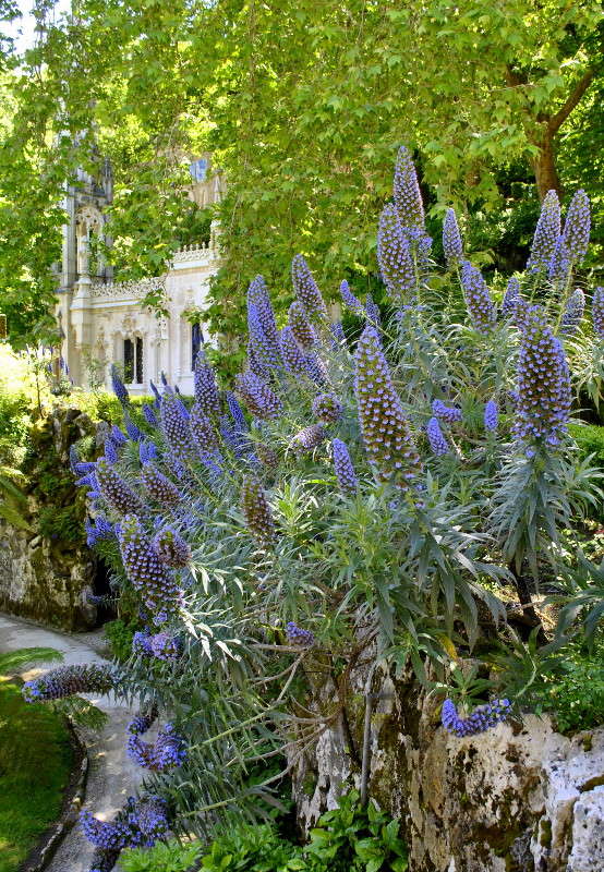 � �����... ����� ����� ���������(�������) �� PhotoGeek.ru #����� #�����������