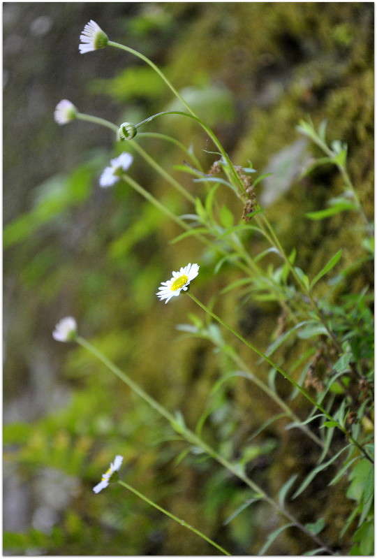 ... ����� ����� ���������(�������) �� PhotoGeek.ru #������ ��� ������� #����� ��������������