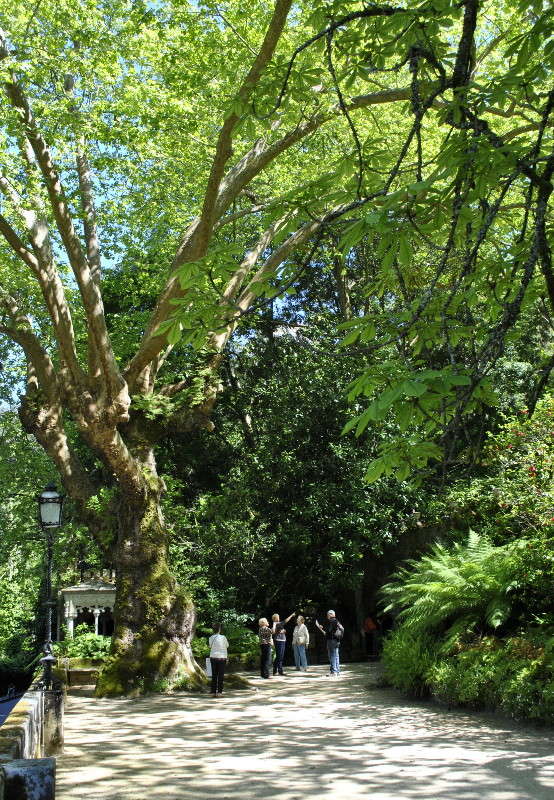 � ����� ����� ����� ���������(�������) �� PhotoGeek.ru #����� #������ ����