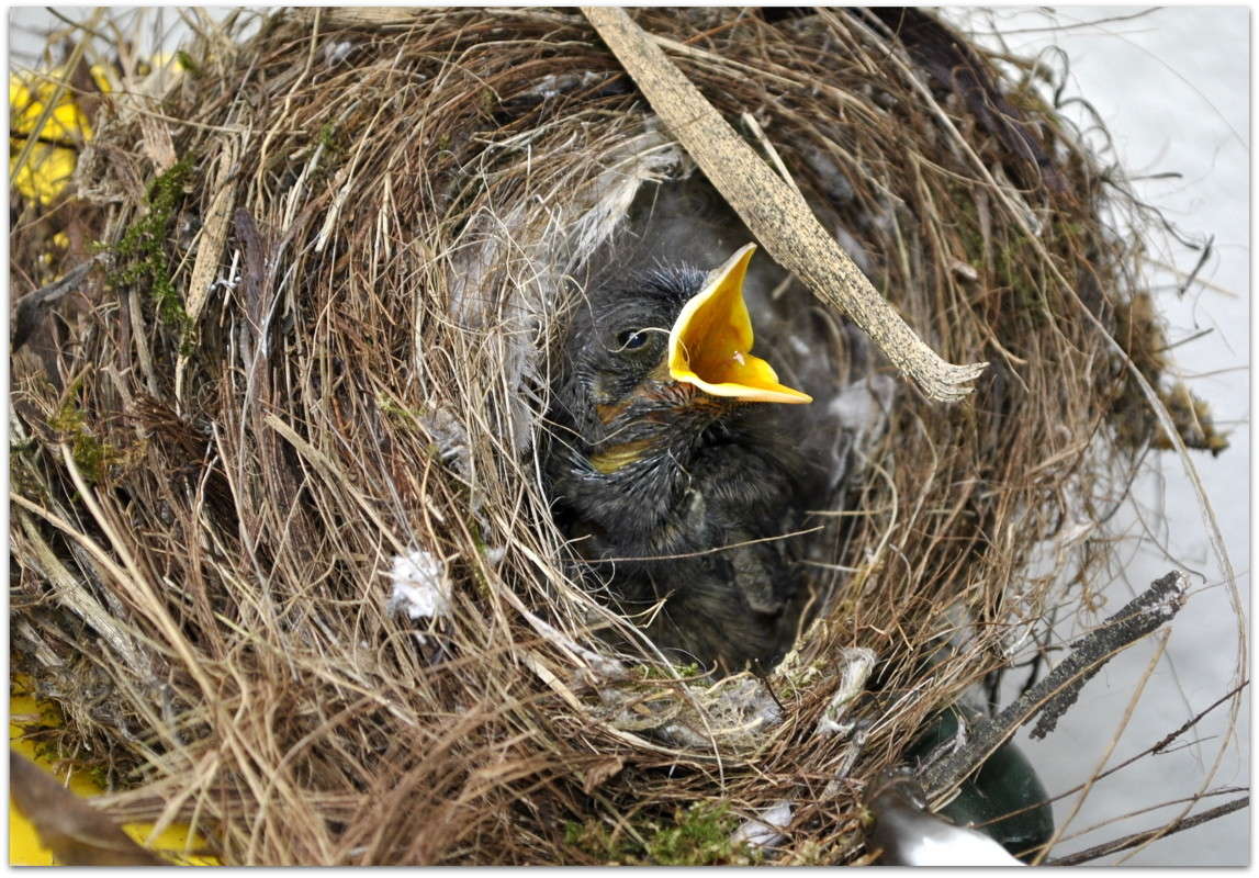 ... ����� ����� ���������(�������) �� PhotoGeek.ru #�������� ���