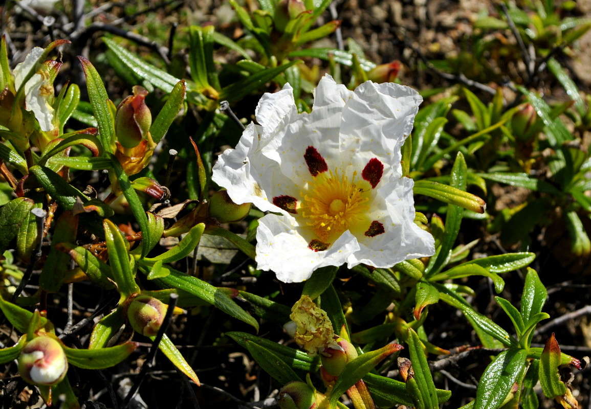 ... ����� ����� ���������(�������) �� PhotoGeek.ru #����� ��������������