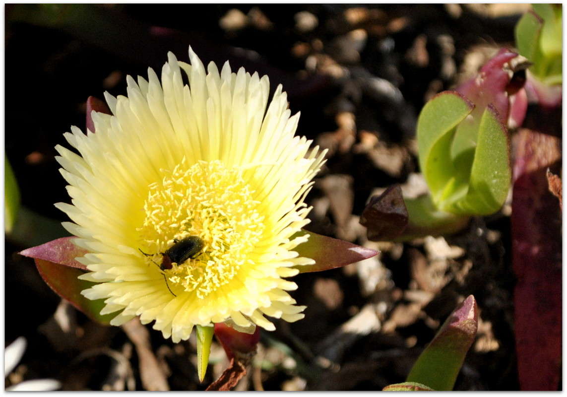 ... ����� ����� ���������(�������) �� PhotoGeek.ru #����� ��������������