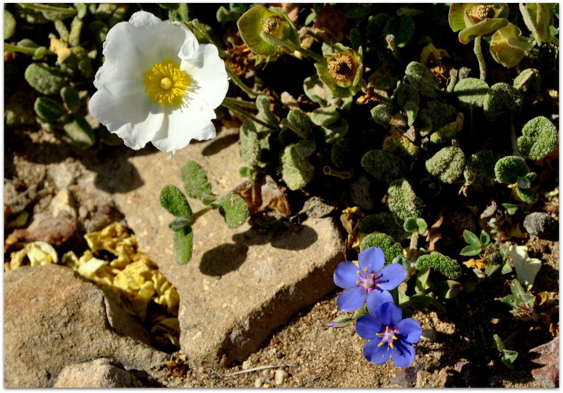 ... ����� ����� ���������(�������) �� PhotoGeek.ru #����� ��������������