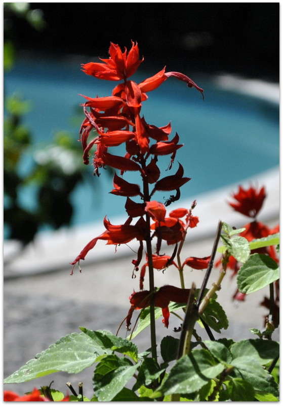 ... ����� ����� ���������(�������) �� PhotoGeek.ru #����� ��������������