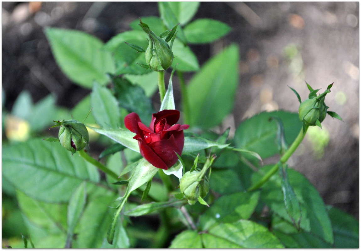 ... ����� ����� ���������(�������) �� PhotoGeek.ru #����� ��������������