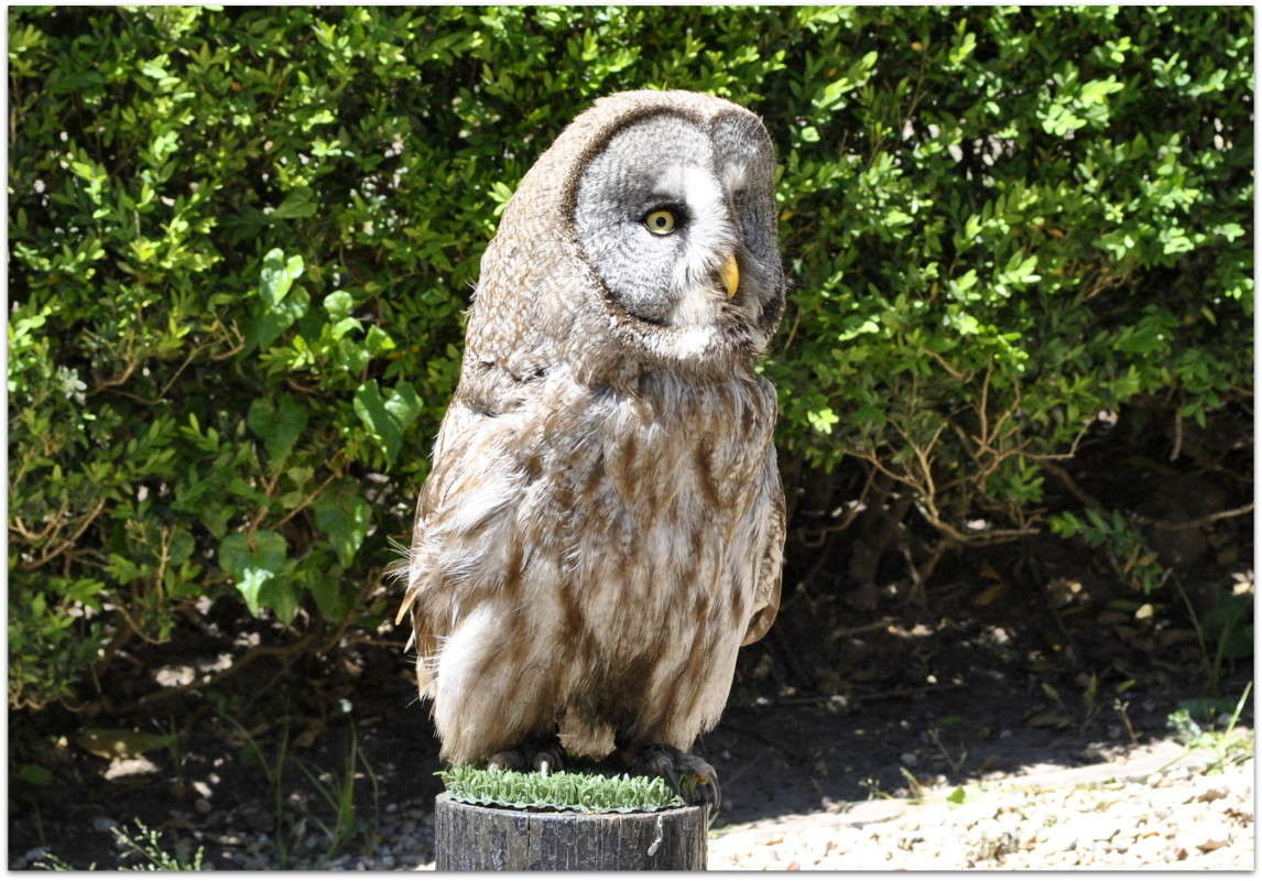 ... ����� ����� ���������(�������) �� PhotoGeek.ru #�������� ���