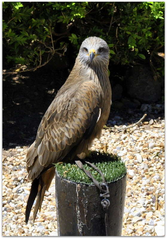 ... ����� ����� ���������(�������) �� PhotoGeek.ru #�������� ���