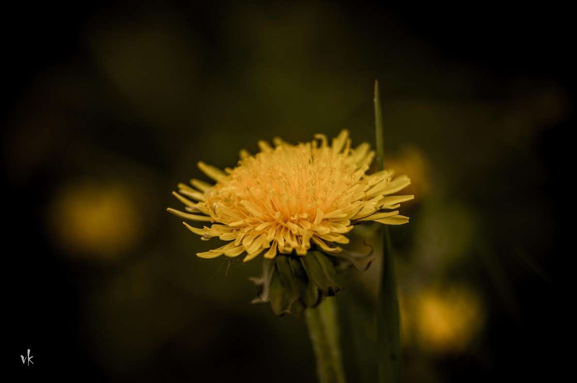 ... ����� ������  �� PhotoGeek.ru #������ ��� �������