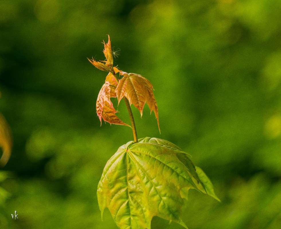������-������ ����� ������  �� PhotoGeek.ru #������ ��� �������