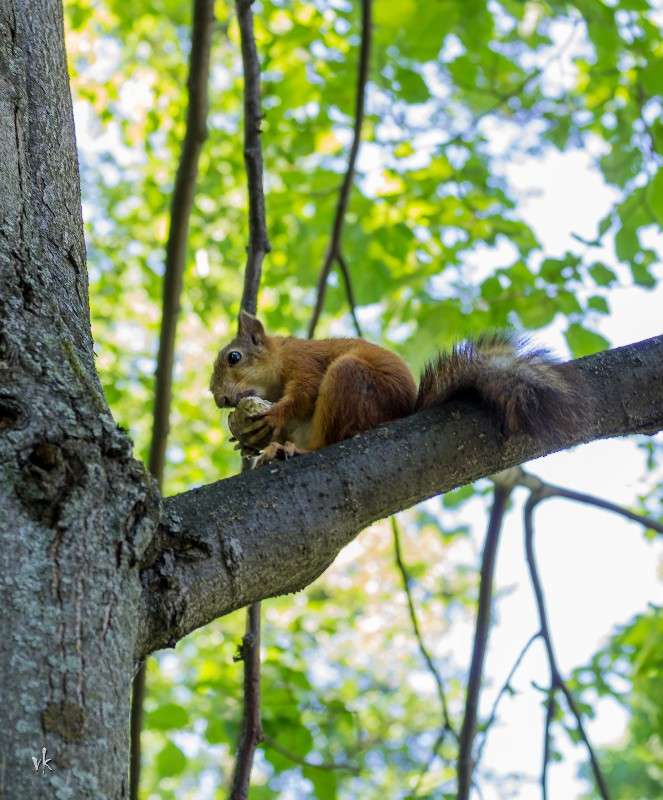 ��� ������� ����� ������  �� PhotoGeek.ru #������ ��� �������