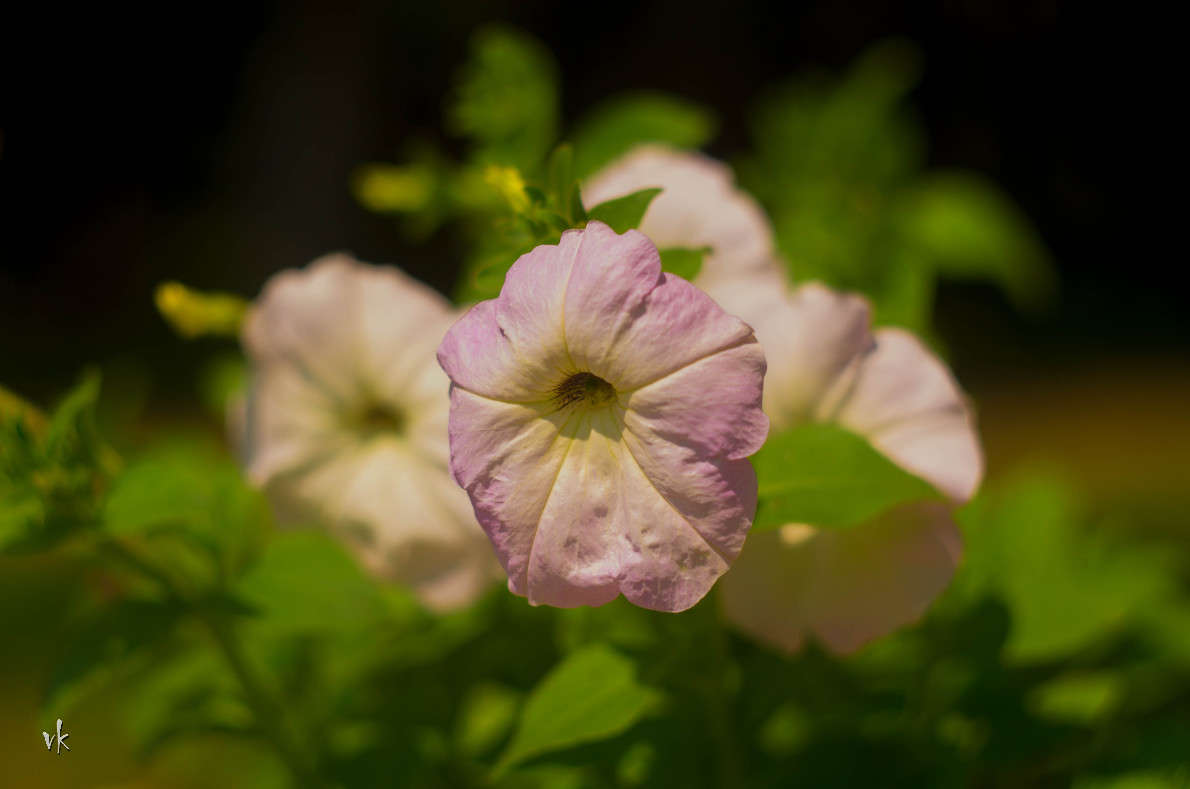 ... ����� ������  �� PhotoGeek.ru #������ ��� �������