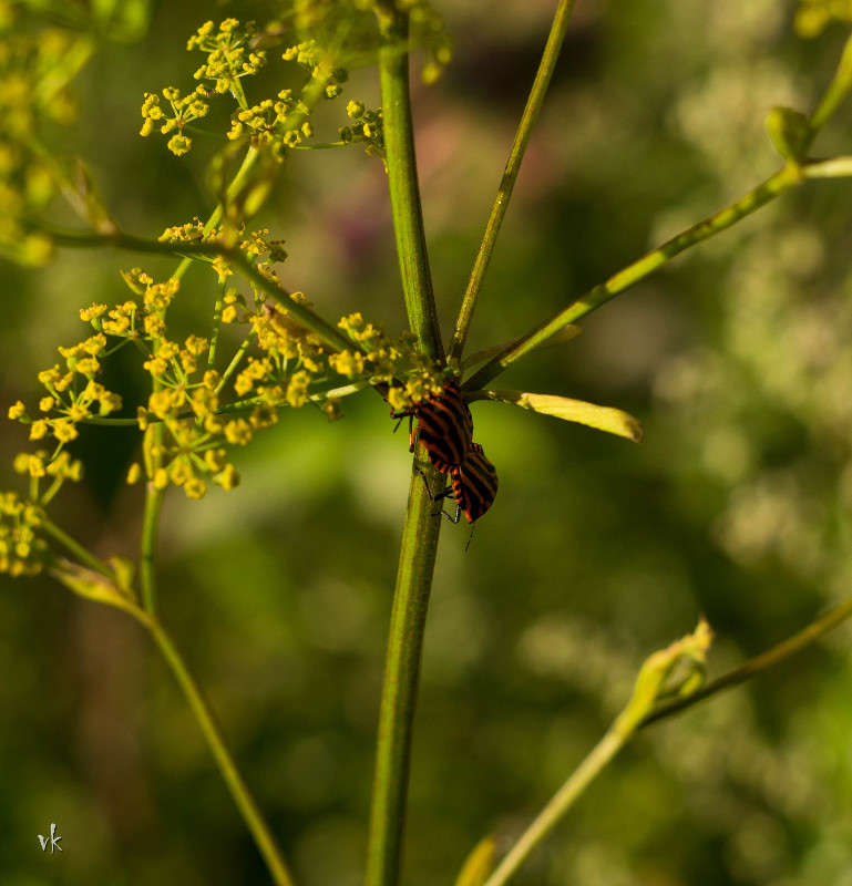 ��������� ����� ������  �� PhotoGeek.ru #������ ��� �������