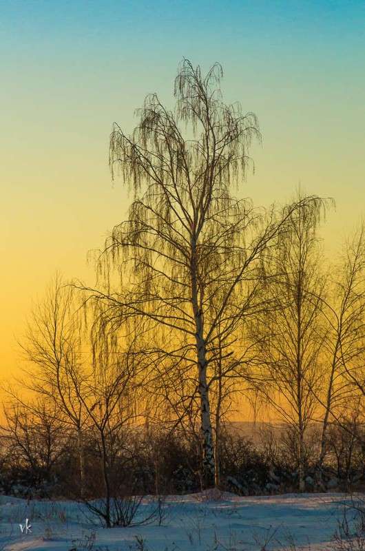 одно зимнее морозное утро 2 автор виктор  на PhotoGeek.ru #Пейзаж или природа