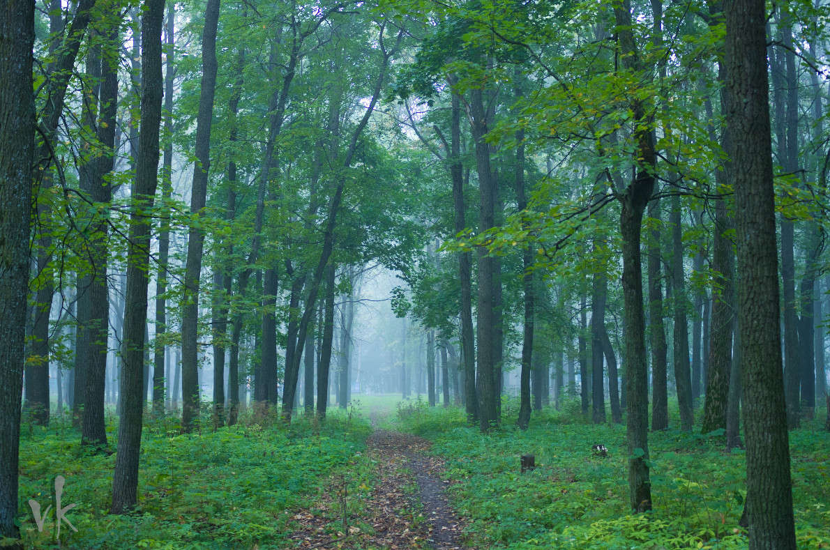 �� ����� "����" ����� ������  �� PhotoGeek.ru #������ ��� �������