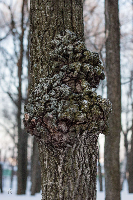 ������ ���� ����� ������  �� PhotoGeek.ru #������ ��� �������