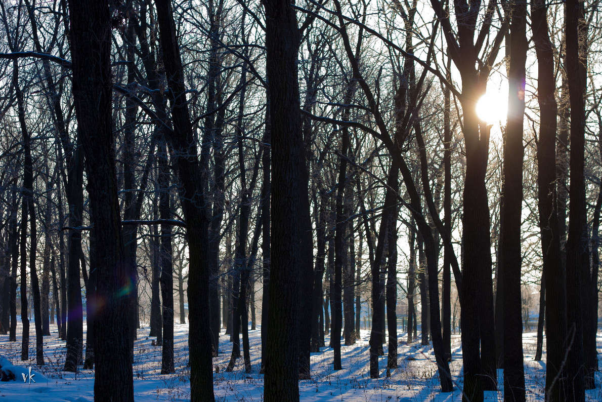 �������� ���� ����� ������  �� PhotoGeek.ru #������ ��� �������