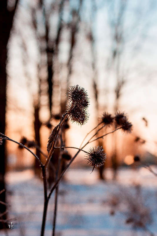 ,, ����� ������  �� PhotoGeek.ru #������ ��� �������