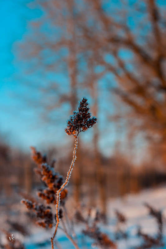 � �������� ����� ����� ������  �� PhotoGeek.ru #������ ��� �������