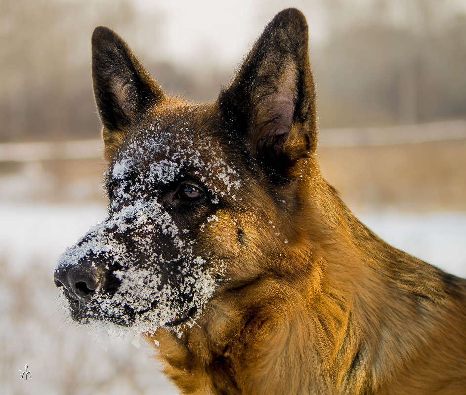 ���� ����� ������  �� PhotoGeek.ru #�������� ���