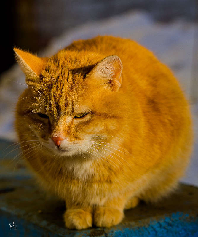 ���������� ����� ������  �� PhotoGeek.ru #�������� ��� #������ ��� �������