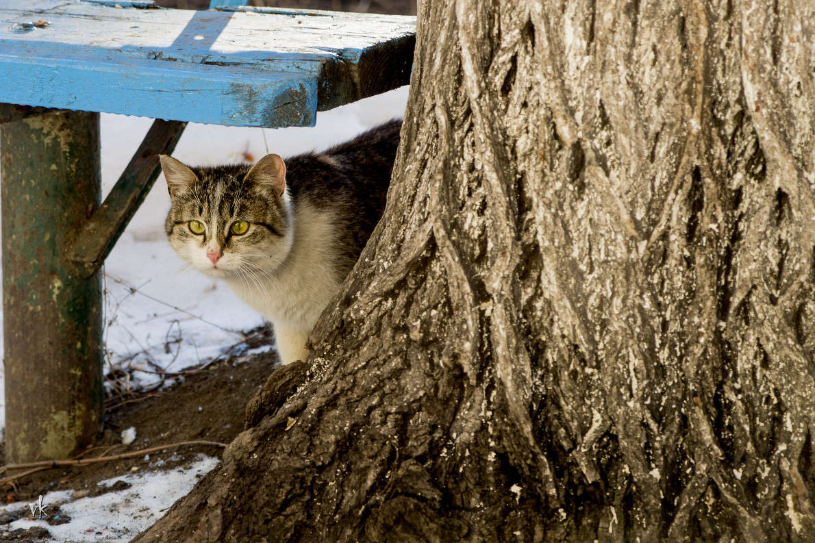 ���� �����, ���� ����� ����� ������  �� PhotoGeek.ru #�������� ���