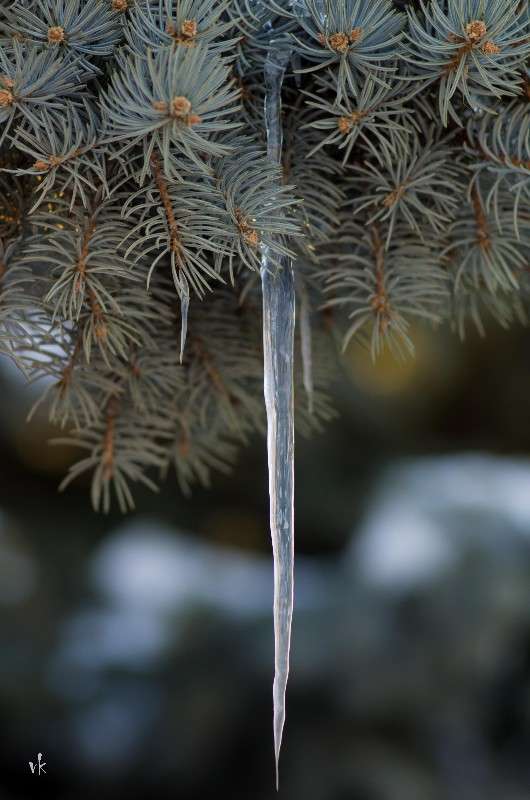 ����� �� ����� ����� ������  �� PhotoGeek.ru #������ ��� �������