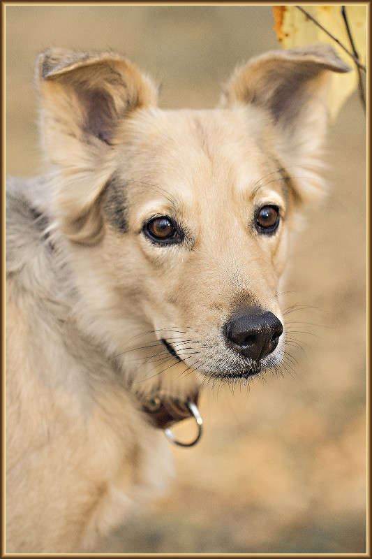 ... ����� �������  �� PhotoGeek.ru #�������� ��� #�������� ���