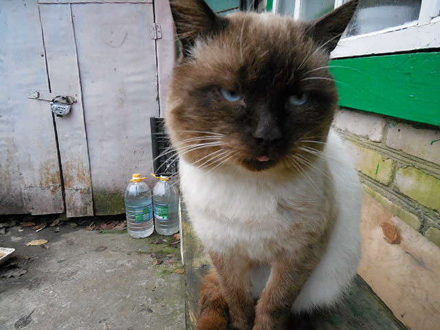 ... ����� Anna Zigankowa �� PhotoGeek.ru #�������� ���