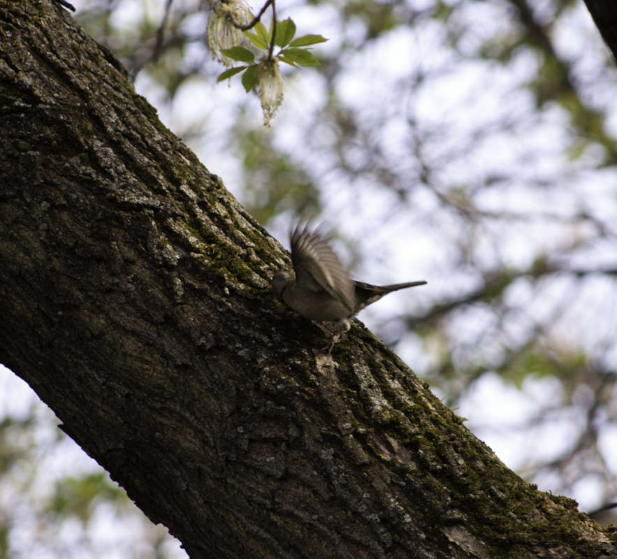 �� ����� "����� ������" ����� Armen  �� PhotoGeek.ru #�������� ���