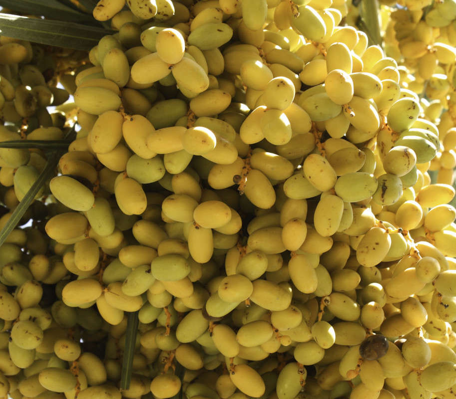 ������ ����� Armen  �� PhotoGeek.ru #������ ��� �������