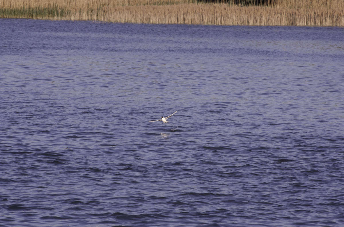 �����... ����� Armen  �� PhotoGeek.ru #�������� ��� #������ ��� �������