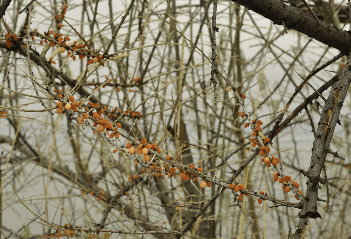 �������� ... �� ������ ������ ����� Armen  �� PhotoGeek.ru #������ ��� �������