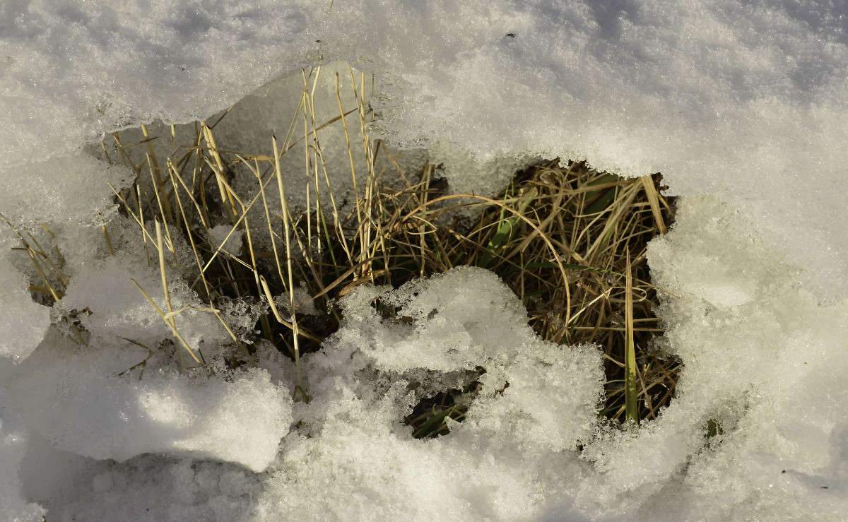 ����� � ������... ����� Armen  �� PhotoGeek.ru #����� #������ ��� �������