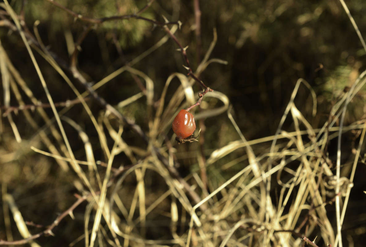 ... ����� Armen  �� PhotoGeek.ru #����� #������ ��� �������