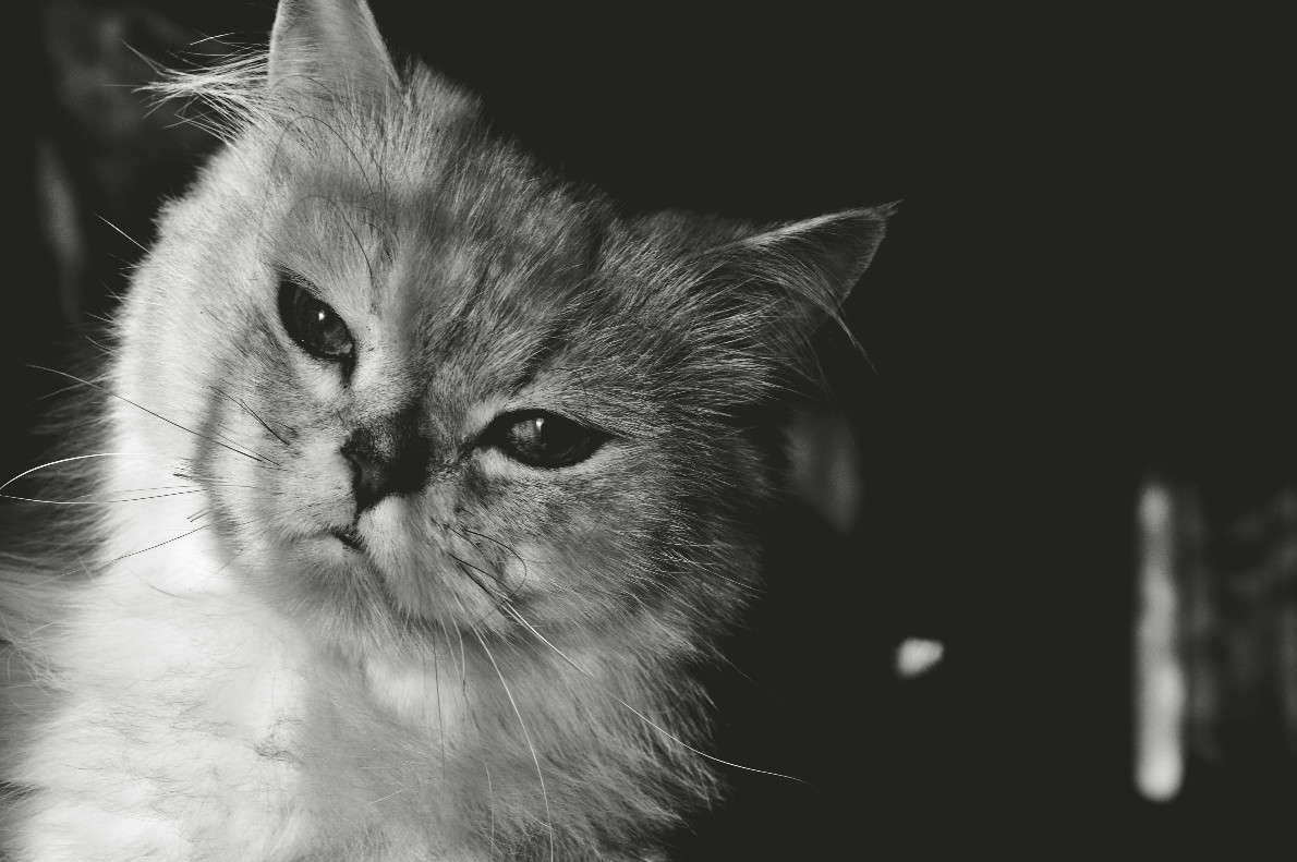 ��������� ����� ����  �� PhotoGeek.ru #�������� ���