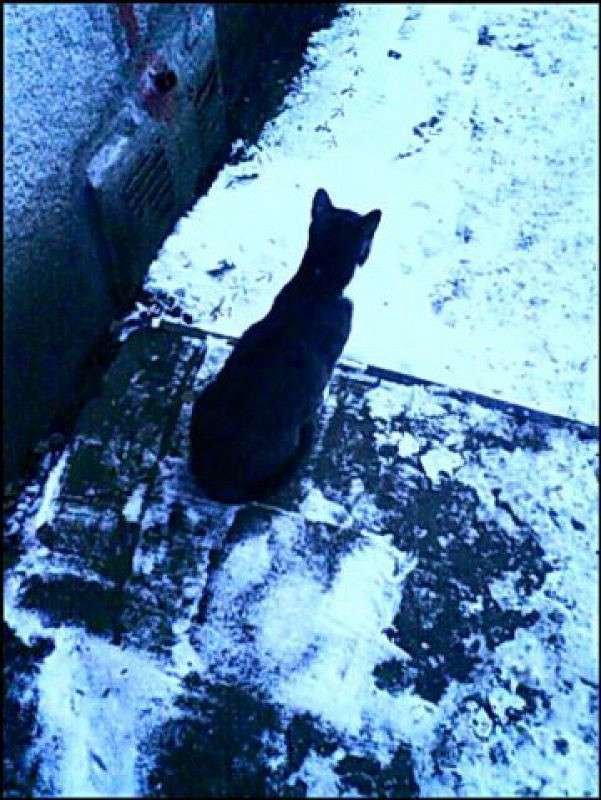 ����������� ����� ���� ����������� �� PhotoGeek.ru #�������� ���