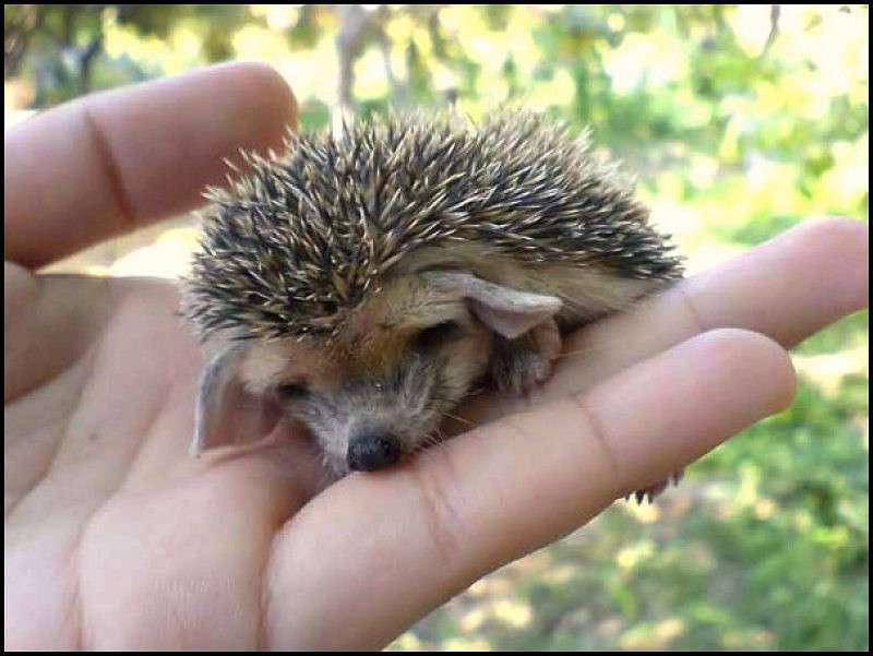 ���� ����� ���� ����������� �� PhotoGeek.ru #�������� ��� #����� ��� ��� ���������