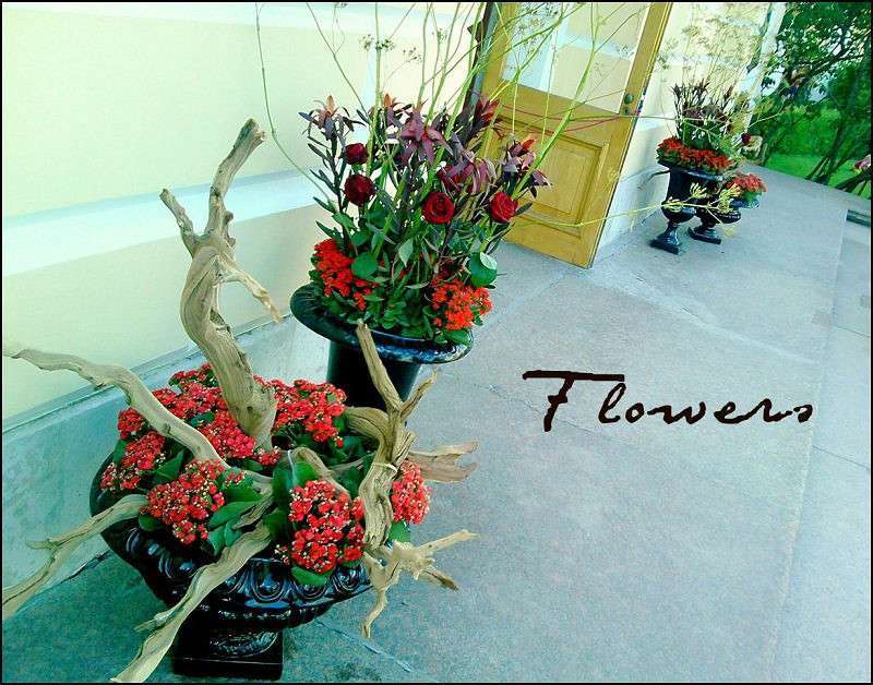 ����� ����� ���� ����������� �� PhotoGeek.ru #������